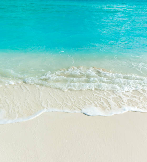 istock tropical Maldives island with white sandy beach and sea 1096612372
