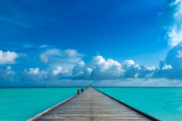 istock tropical Maldives island with white sandy beach and sea 1096612376