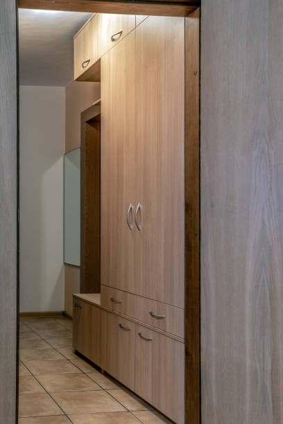 istock Interior of empty apartment, wardrobe 1096616000