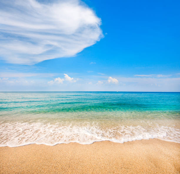 istock beach and beautiful tropical sea 1096617654