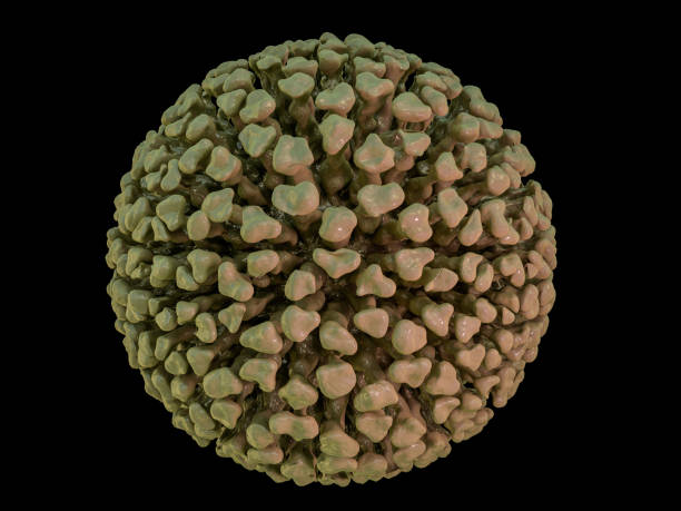 Close-up of virus or bacteria cells. 3D