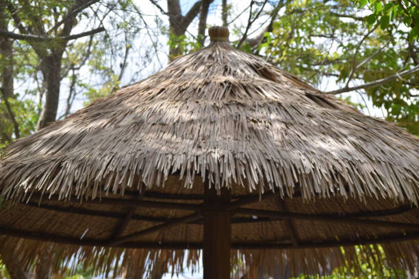 istock Brown wood and leaf covered shade 1096618124