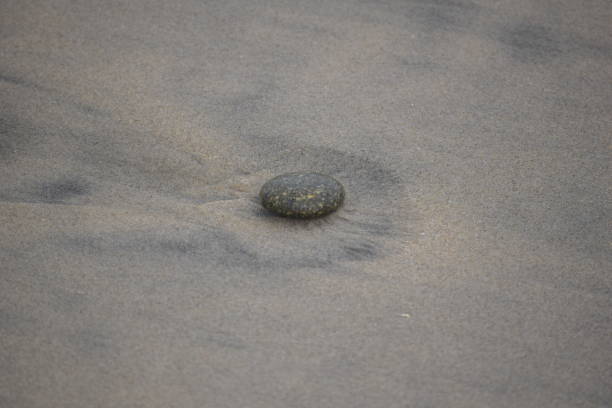 istock Rock in the sand at the beach 1096618530