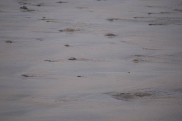 Wave of the sea on the sand beach before sunset at Thailand.Wave of the sea on the sand beach before sunset at Thailand.