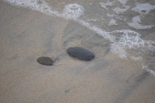 istock Rock in the sand at the beach 1096618650