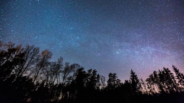 istock Night starry sky with milky way 1096619026