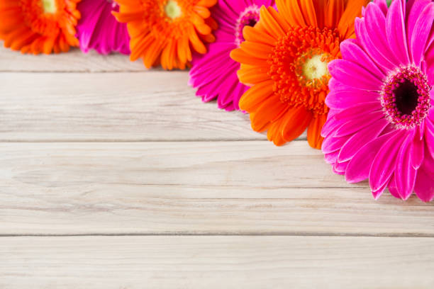 Closeup of the gerbera bouquet