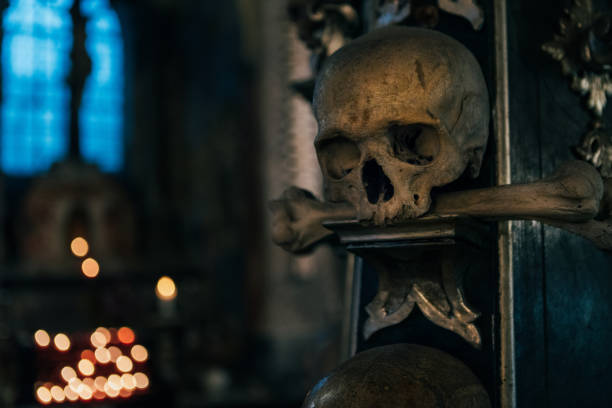 Skull and bones in ancient ossuary, Naples