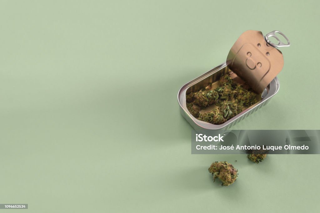 Tin can with high quality marijuana buds isolated on green background with copy space left. Marijuana hidden in a can. Packaged marijuana. Bud Stock Photo