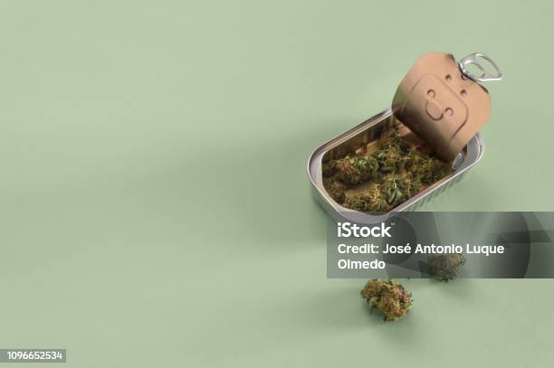 Tin Can With High Quality Marijuana Buds Isolated On Green Background With Copy Space Left Marijuana Hidden In A Can Packaged Marijuana Stock Photo - Download Image Now