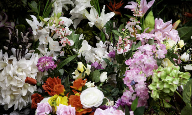 istock Flowers in the garden 1096652960