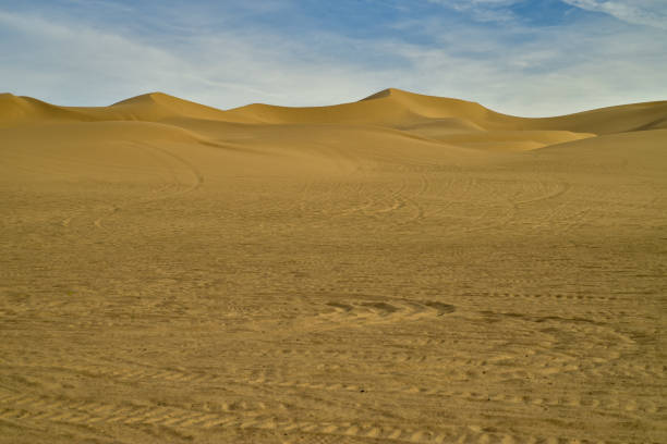 istock wind blown untouched sand dunes with tire tracks in foreground 1096653938