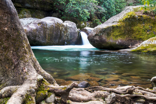 深夜穴滝・ コスビー、テネシー州。 - waterfall great smoky mountains great smoky mountains national park tennessee ストックフォトと画像