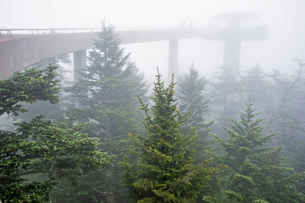 istock Clingman's Dome Tower on a foggy day. 1096656830