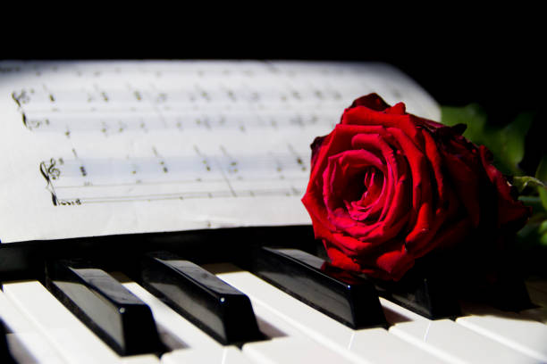 Music sheets. Close up representation of music sheets.