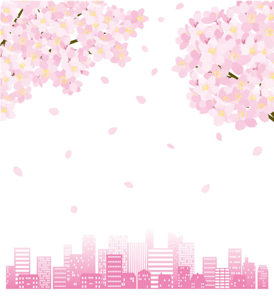 説明 :  Cityscape of the silhouette and flower of a cherry tree 説明 :

Cityscape of the silhouette and flower of a cherry tree pink background illustrations stock illustrations