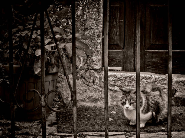 Street views of Santo Stefano di Sessanio in Abruzzo, Italy