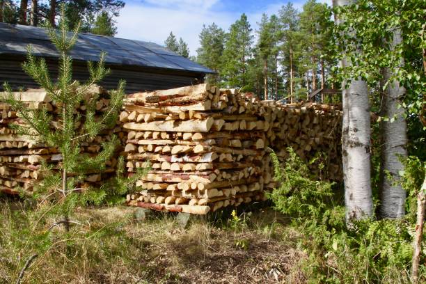 istock Firewood For The Long Swedish Winters 1096672888
