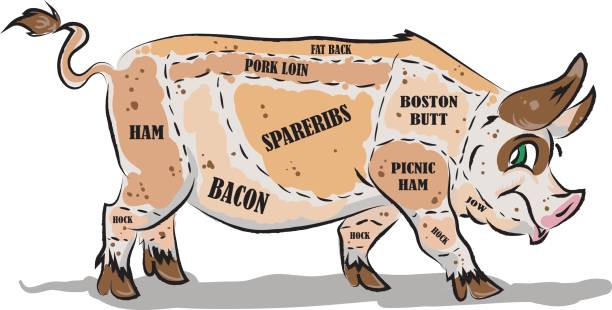 schweinefleisch teile diagramm - pork chop illustrations stock-grafiken, -clipart, -cartoons und -symbole
