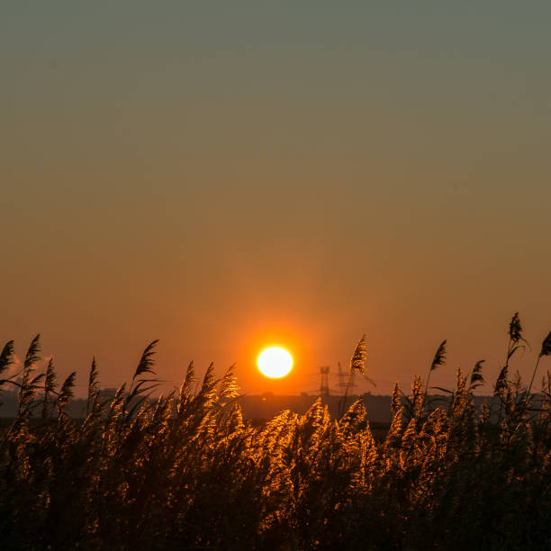 istock Volgermeer polder Amsterdam, Sunset 1096688498