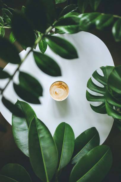 tropical leaves coffee