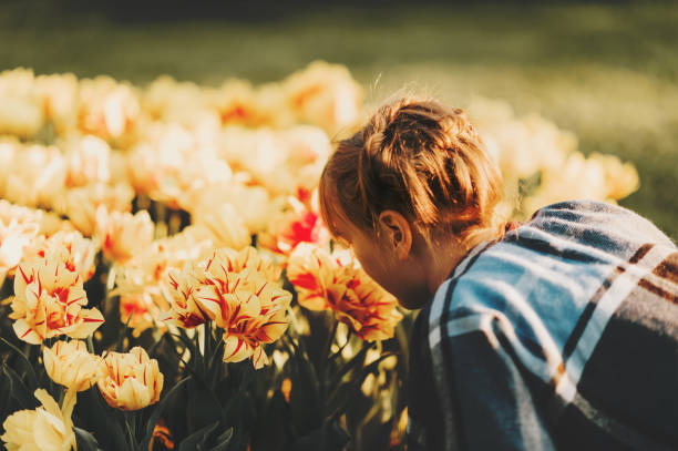 istock Cute little girl playing with tulips on a nice spring day 1096689080