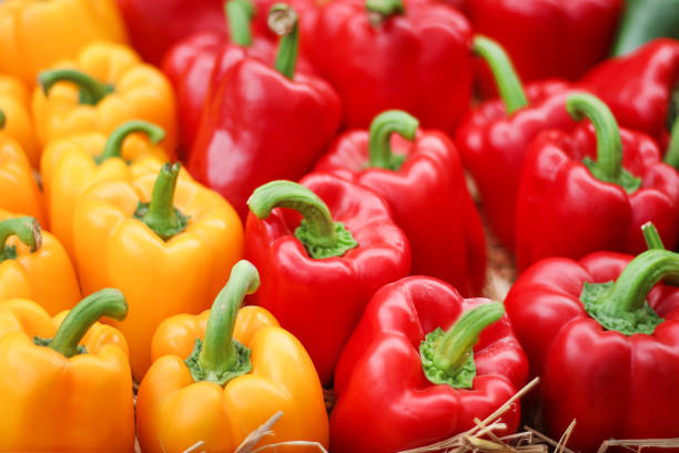 istock Yellow and red bell pepper group on rice straw for sale 1096692848