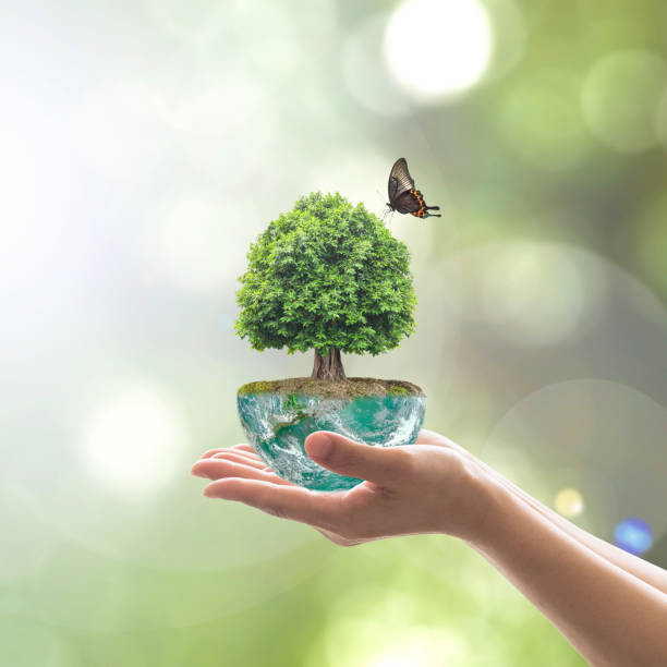 istock Saving environment and natural conservation concept with tree planing on green globe earth on volunteer's hands: Elements of this image furnished by NASA 1096694446