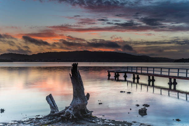 istock Tree Stump and Wharf Sunrise Waterscape 1096698194