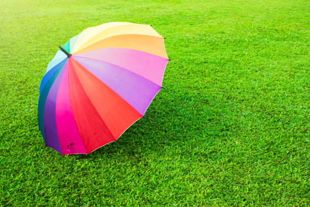 A rainbow color umbrella on green grass stock photo