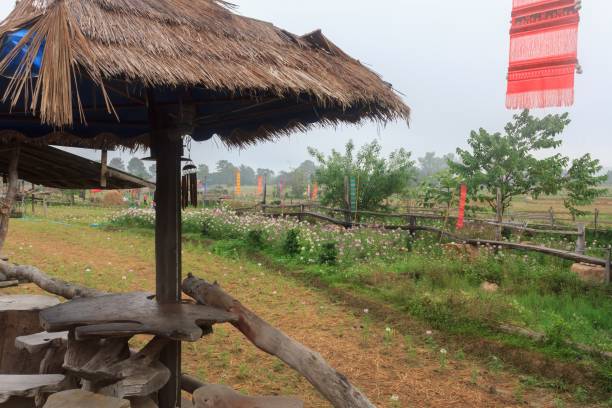istock Beautiful scenery in the Thai countryside 1096711236