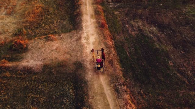 Aerial View Ox cart at sunset