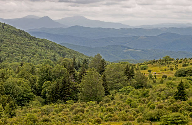 風光明媚な山グレイソン ハイランズ州立公園から。 - waterfall great smoky mountains great smoky mountains national park tennessee ストックフォトと画像