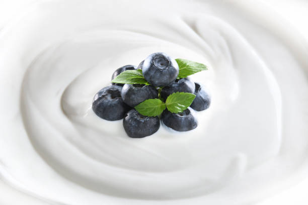 istock Top view of plain yogurt with fresh blueberries on top isolated on white background 1096734116