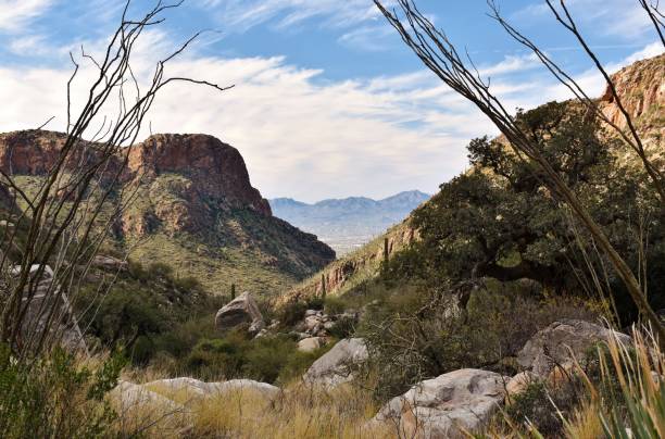 istock Pima Canyon Trail in Tucson, Arizona 1096746066