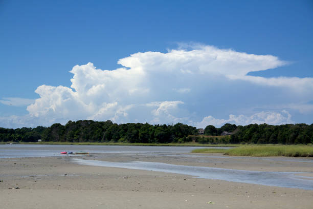 케이프, 매사 추세 츠에 소금 연못만 화창한 날. - saltwater flats coastal feature landscape national park 뉴스 사진 이미지