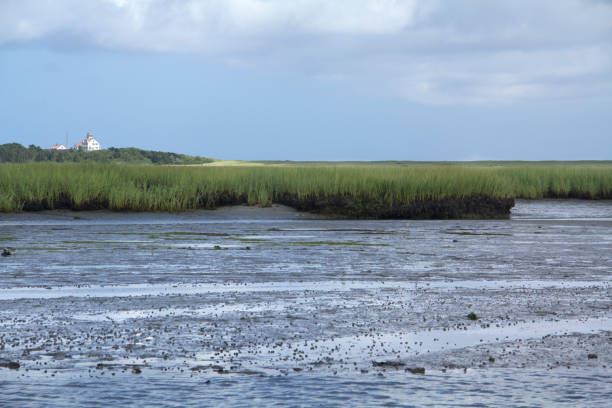istock Sunny day at Salt Pond Bay on Cape Cod, Massachusetts. 1096751292