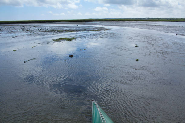 kayak en la bahía de estanques de sal en cape cod, massachusetts. - cape cod new england sea marsh fotografías e imágenes de stock