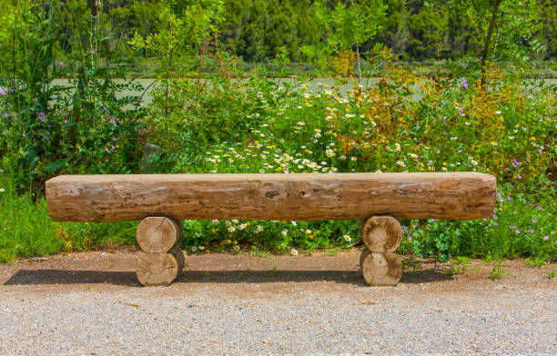 istock Wooden bench in the garden 1096756782