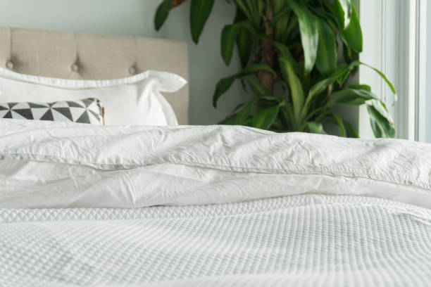istock Fluffy, white duvet and blanket with decorative pillows, headboard and house plant. Comfortable, cozy bed with white bedding. 1096763230
