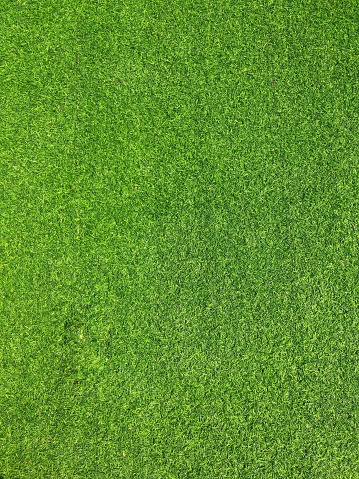 Artificial grass background texture. fresh spring green grass.