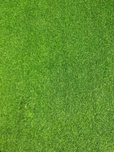 Photo of Artificial grass background texture. fresh spring green grass.