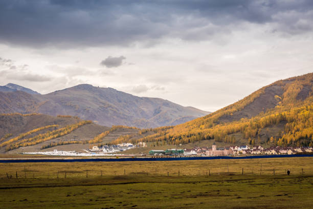 istock Xinjiang Hemu birch forest autumn scenery 1096778772