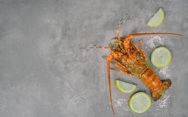 istock steamed lobster seafood 1096791620