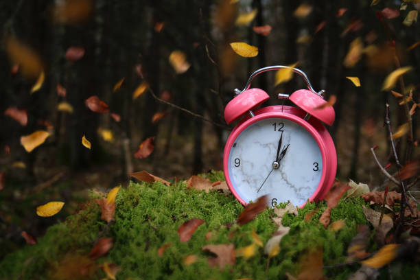istock Alarm clock with leaves blowing around it in the forest 1096791802