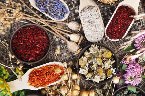 Medicinal flowers and herbs