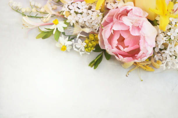 istock Spring blossoming flowers and tulips background 1096792704