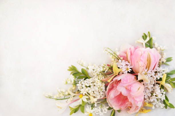istock Spring blossoming flowers and tulips background 1096792718