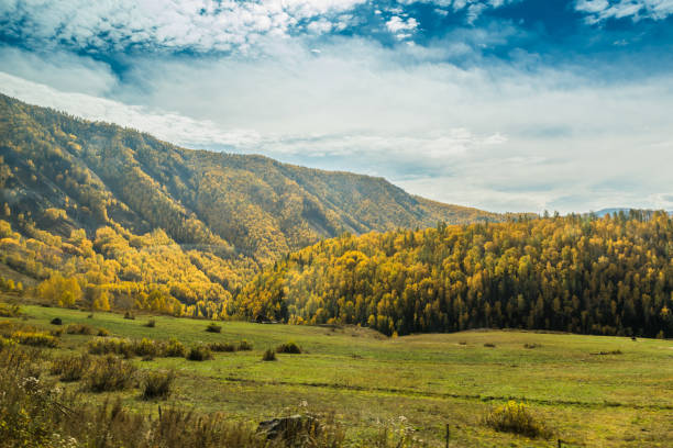 istock Autumn autumn in Xinjiang 1096794944