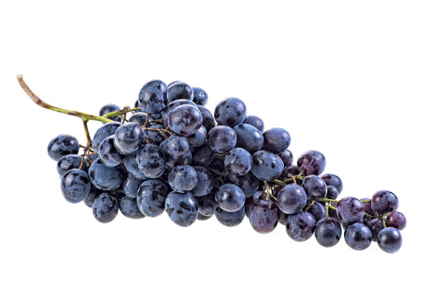 istock Fresh blue grapes isolated on white background 1096796726